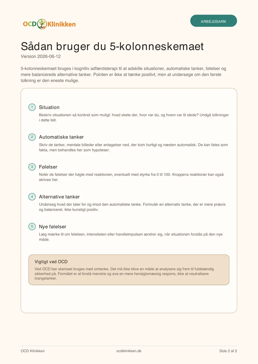 Preview af side 2 i 5-kolonneskema PDF'en med vejledning